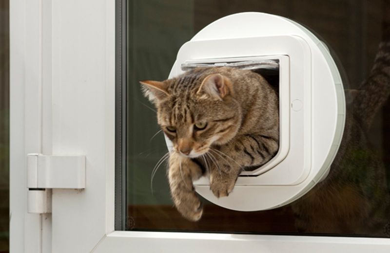 Install A Pet Door With Restrictions