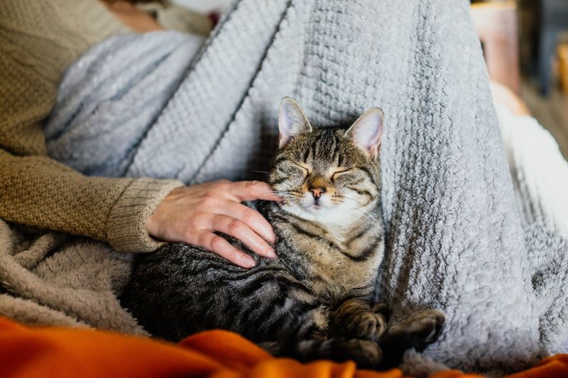 Create Special Napping Spots