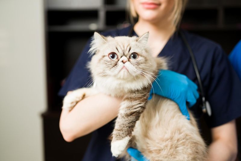 Unexpected Health Emergencies
