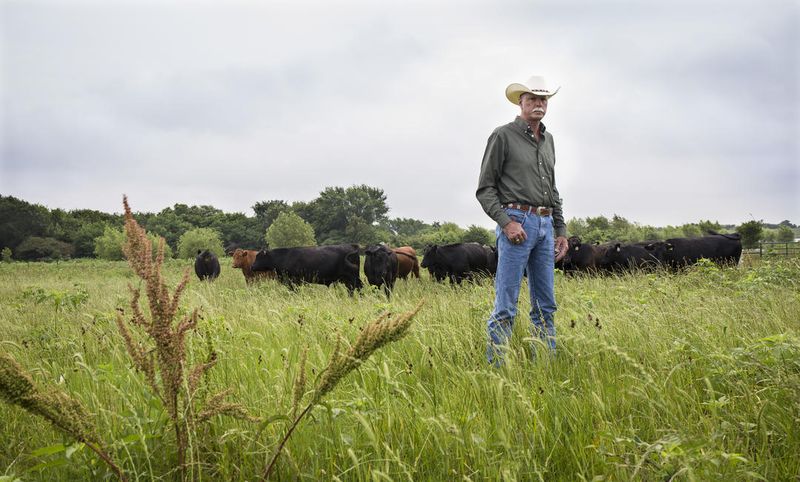 Wildlife-Friendly Certification Programs