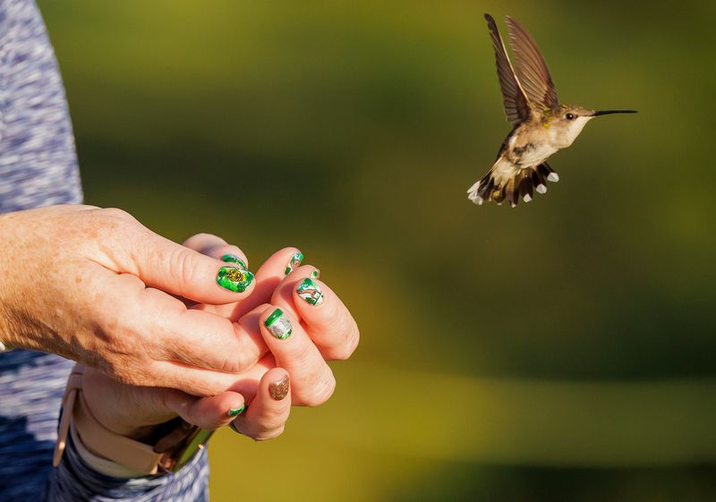 Data Is Shared With National Bird Banding Programs