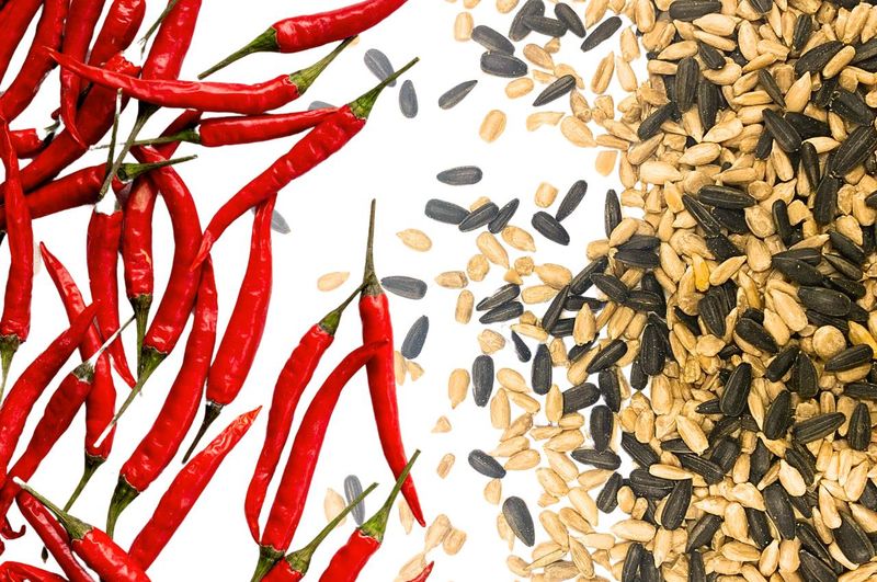 Spicy Seeds That Birds Love But Squirrels Hate