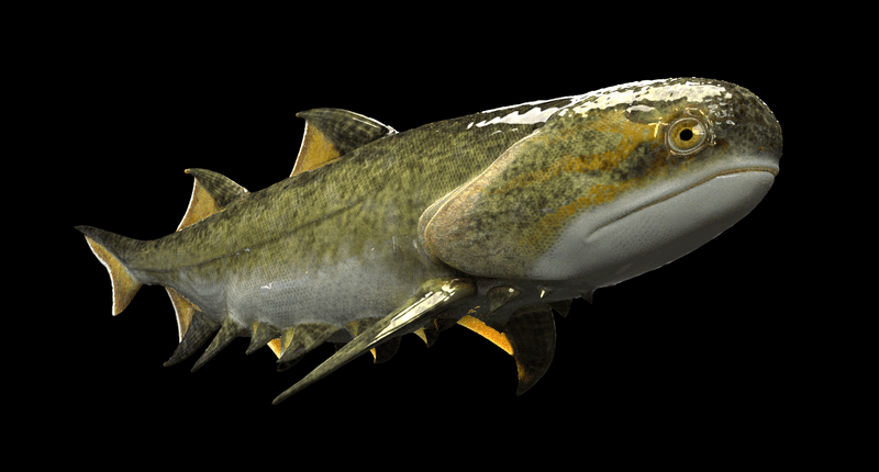 Acanthodians