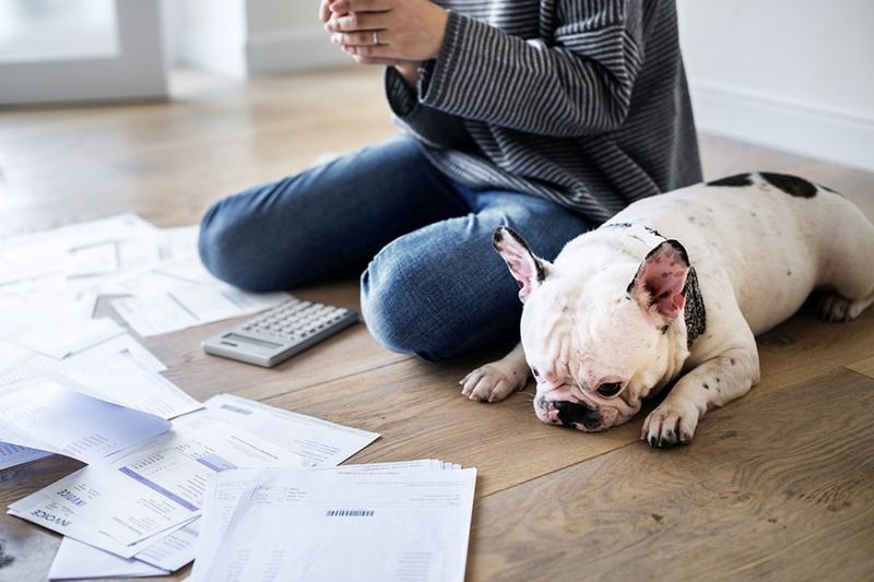 Your Wallet Feels The Puppy Love