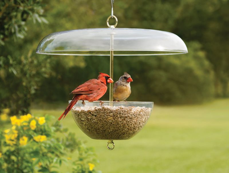 Hang Feeders At Different Heights