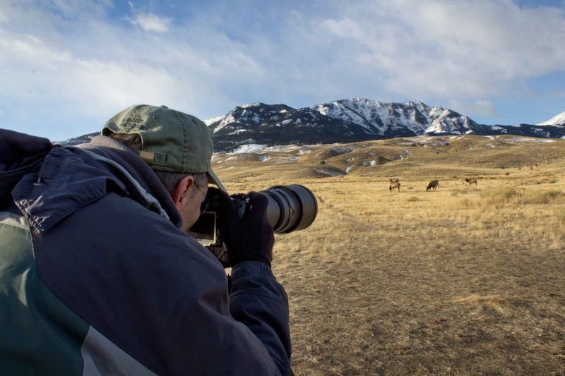 Use Binoculars Or A Camera