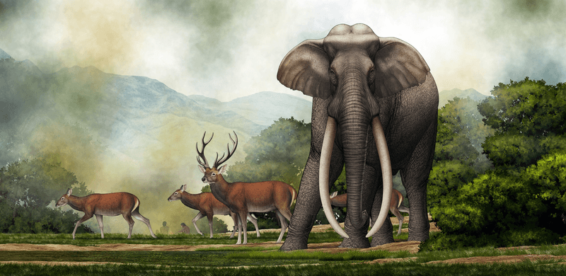 Palaeoloxodon – The Straight-Tusked Forest Elephant