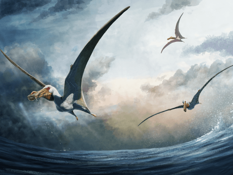 Pterodactyls And Plesiosaurs Weren't Actually Dinosaurs