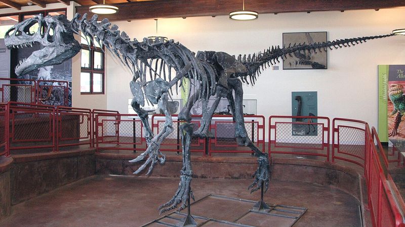 Allosaurus