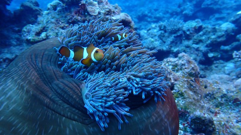 Behavior Changes Lead To Less Feeding