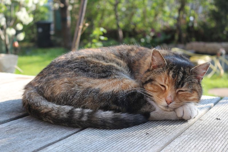 Better Sleep Comes From Natural Rhythms