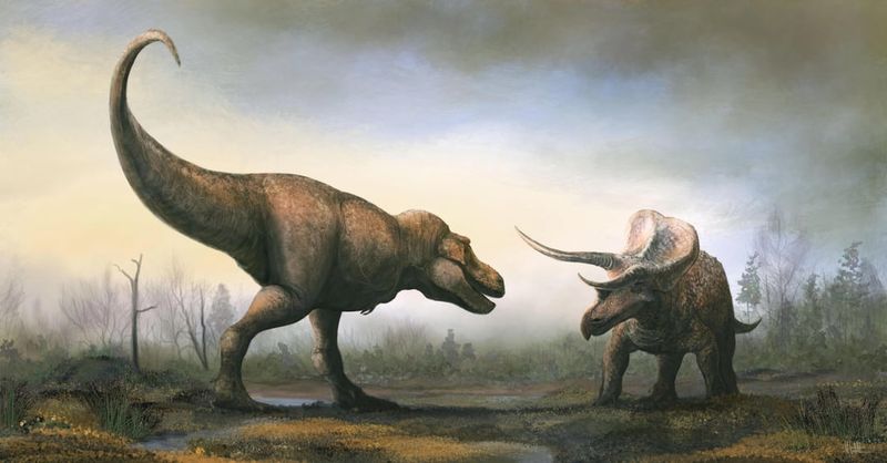 Evolutionary Arms Races Pushed Size Limits