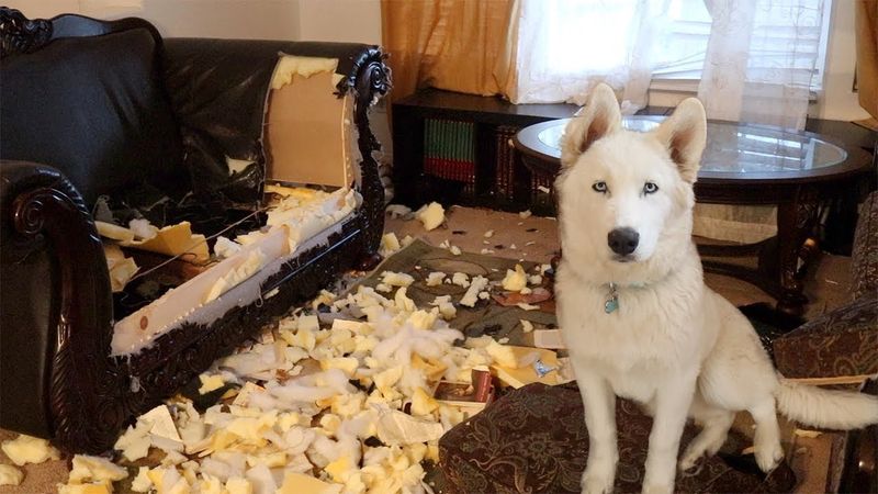 Demolition Experts
