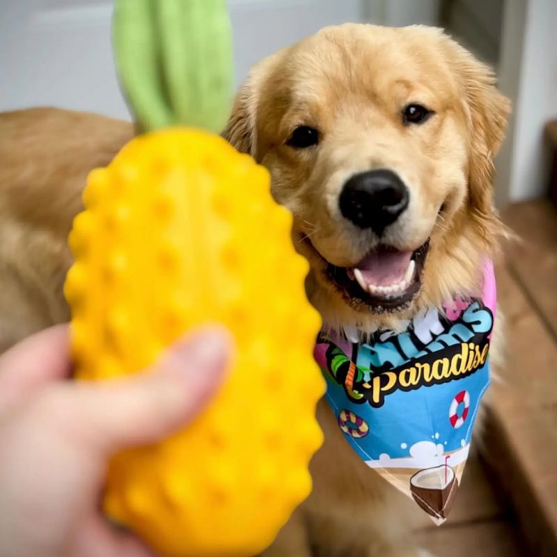 Cheap Rubber Toys