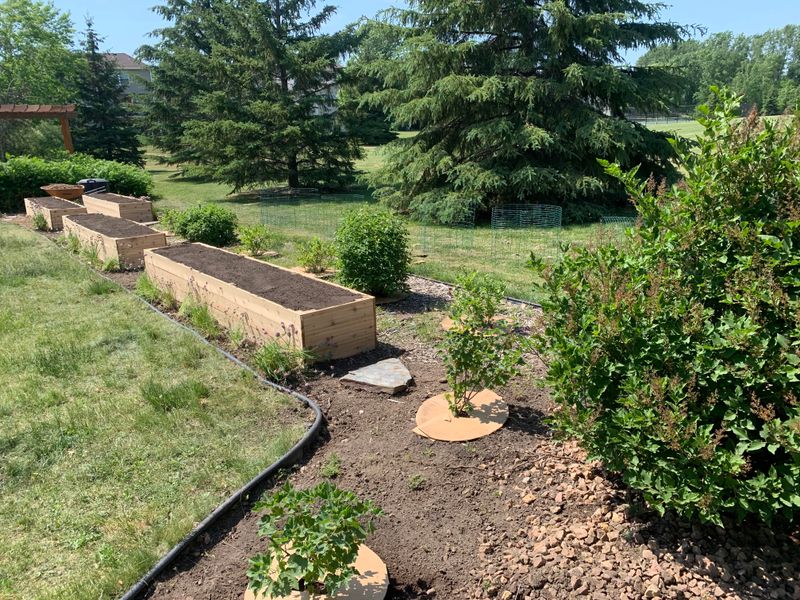 Raised Garden Beds