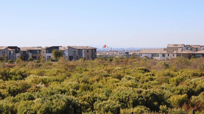 Green Corridors Between Neighborhoods
