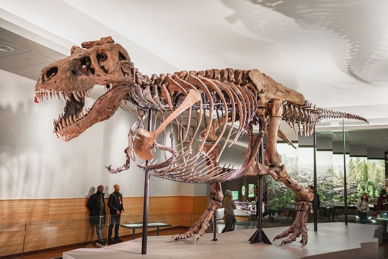 Scotty the T. Rex