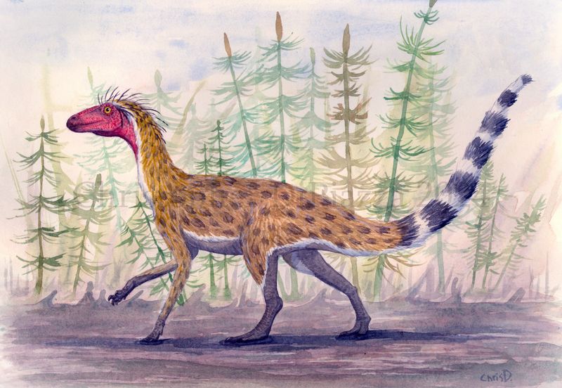 The Silesaurus Problem