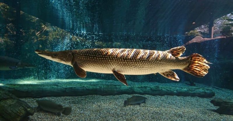 Surviving Harsh Conditions Through Adaptation