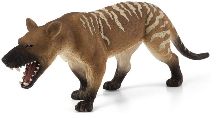Females Likely Dominated Hyaenodon Society