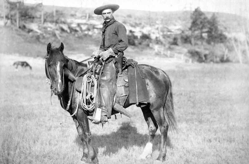 Historical Role Of Wild Horses In The Old West