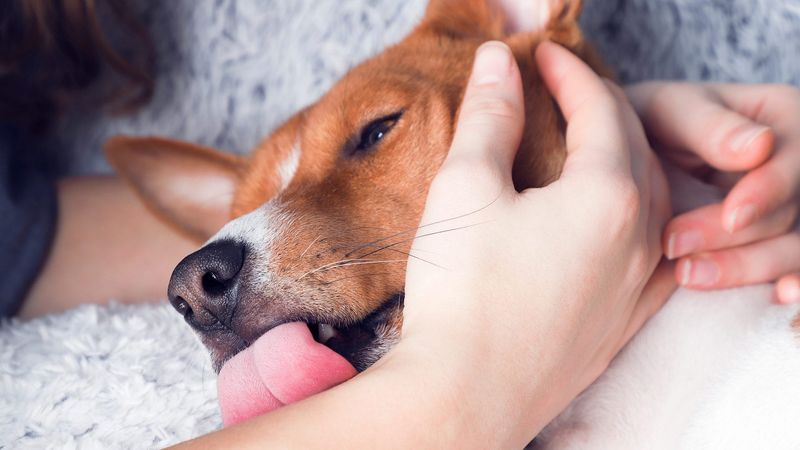 Licking You