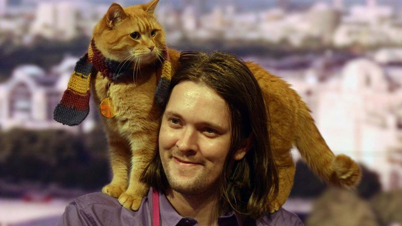 Bob: The Street Cat Who Rescued His Human