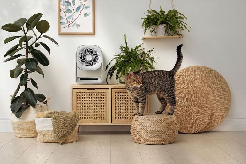 Indoor Air Purifiers