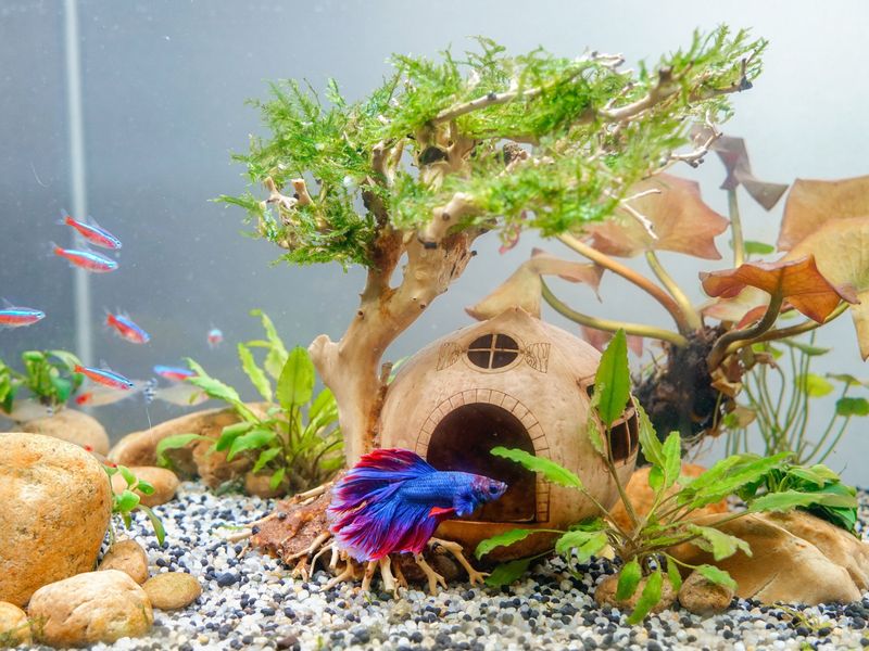 Create Natural Hiding Spots