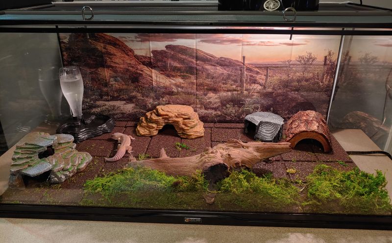Modular Hide System
