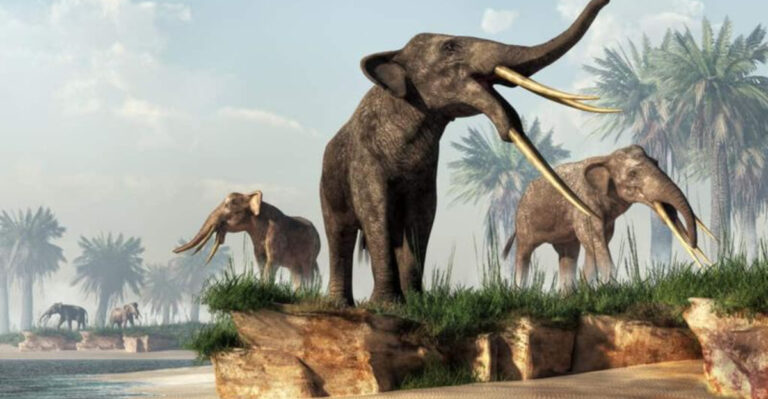 The 10 Incredible Ancient Elephants, From Tiny Swimmers To Giant Shovel-Tusked Beasts