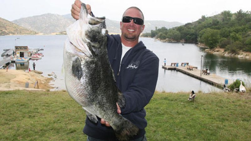 The Behemoth Bass Of Lake Dixon