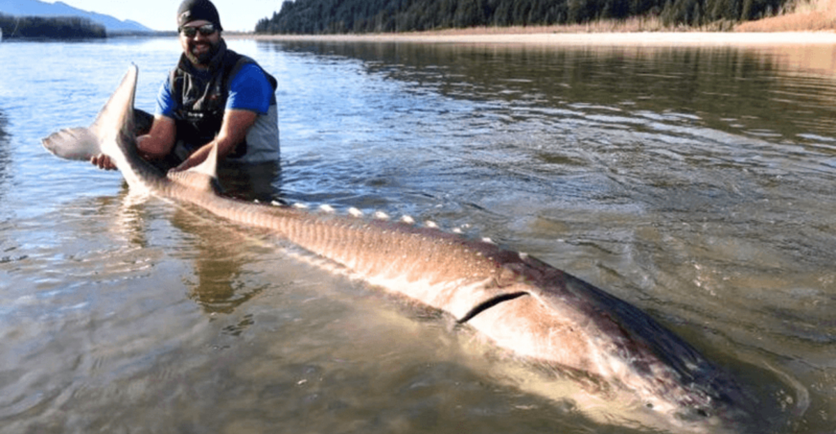 The 13 Most Dangerous Rivers In America