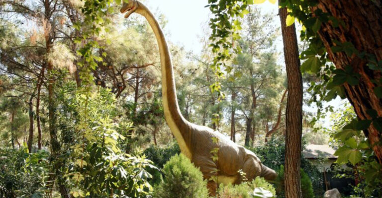 The 14 Largest Dinosaurs That Ever Walked Across America