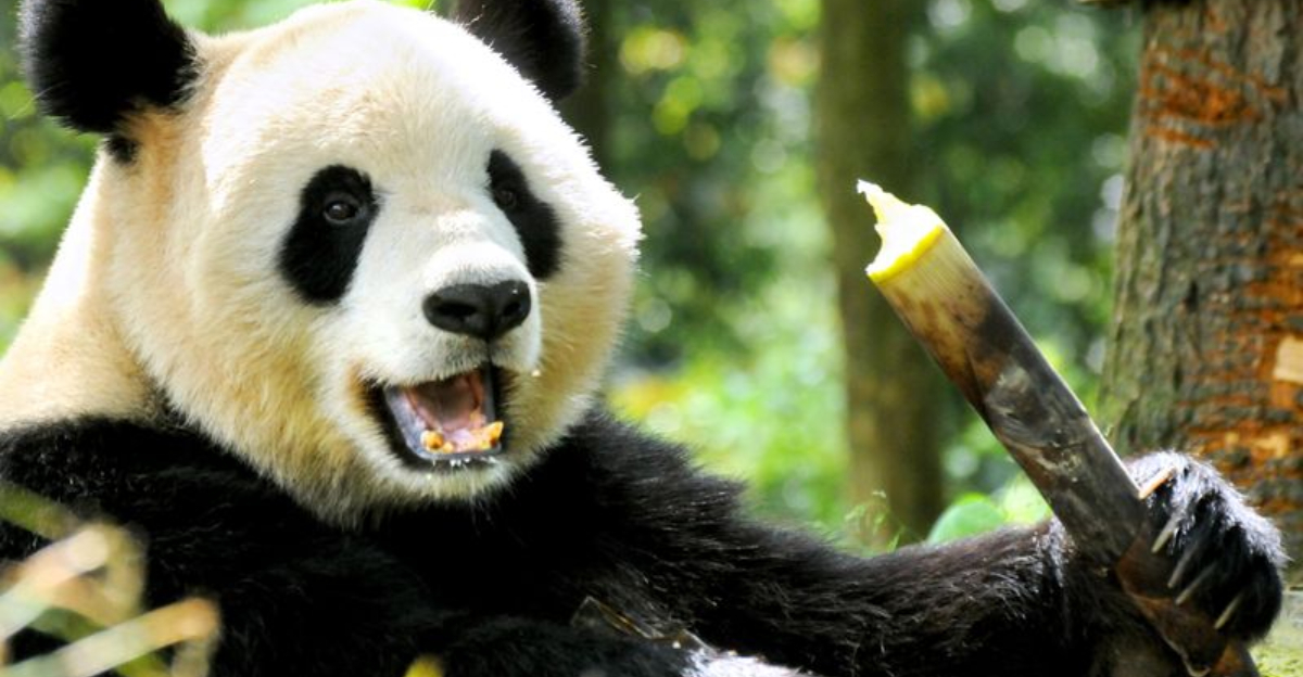 The 15 Least Intelligent Animals In The World (2025 Edition)