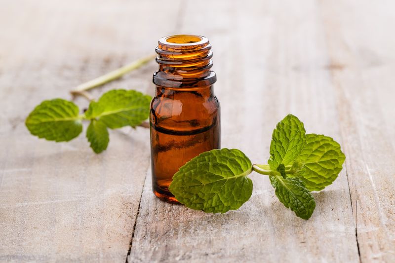 Peppermint Power