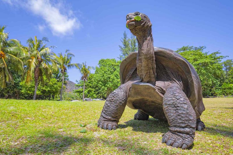 Ecological Disruption Risks