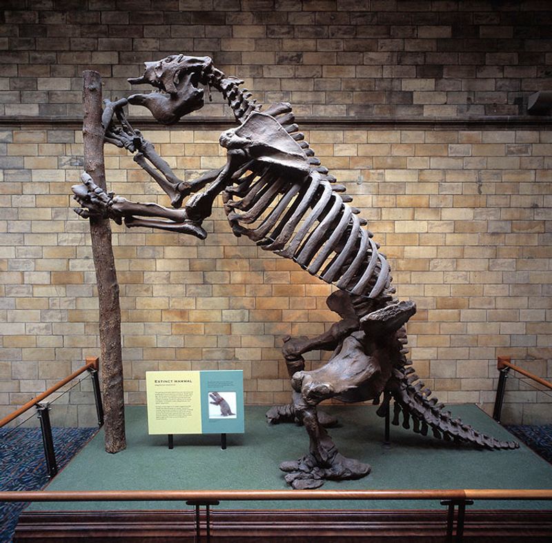 The Giant Ground Sloth: A Prehistoric Herbivore