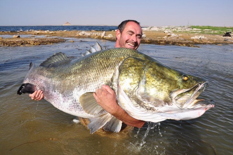 The Nile Perch