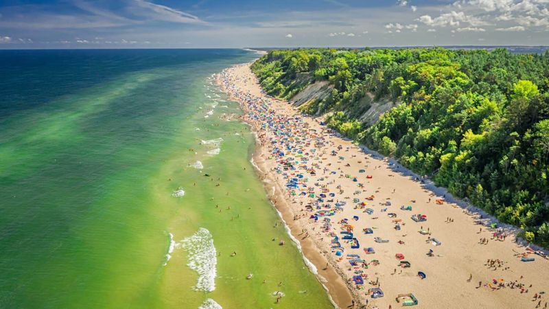 The Baltic Sea: Shark-Free Waters
