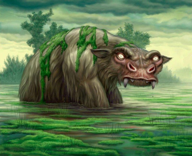 The Bunyip