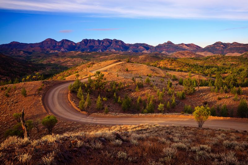 Ikara-Flinders Ranges: A Beacon Of Conservation Success