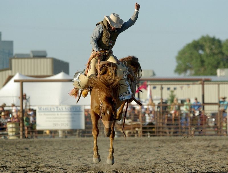 Wild Horses And The Legacy Of The Old West Cowboys