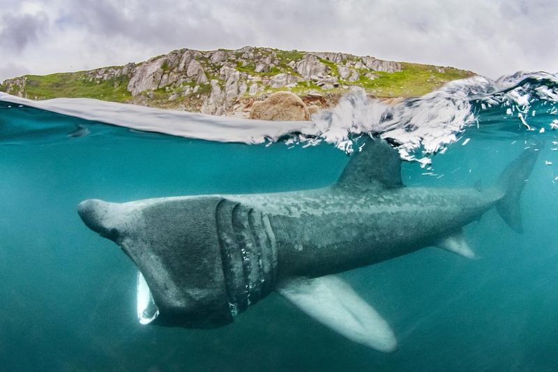 The UK's Chilly Coastal Waters