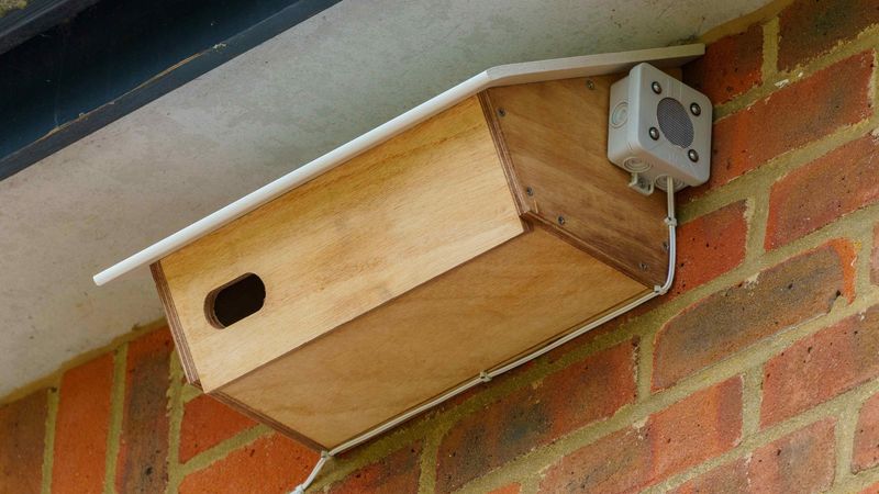 Install Swift Nest Boxes