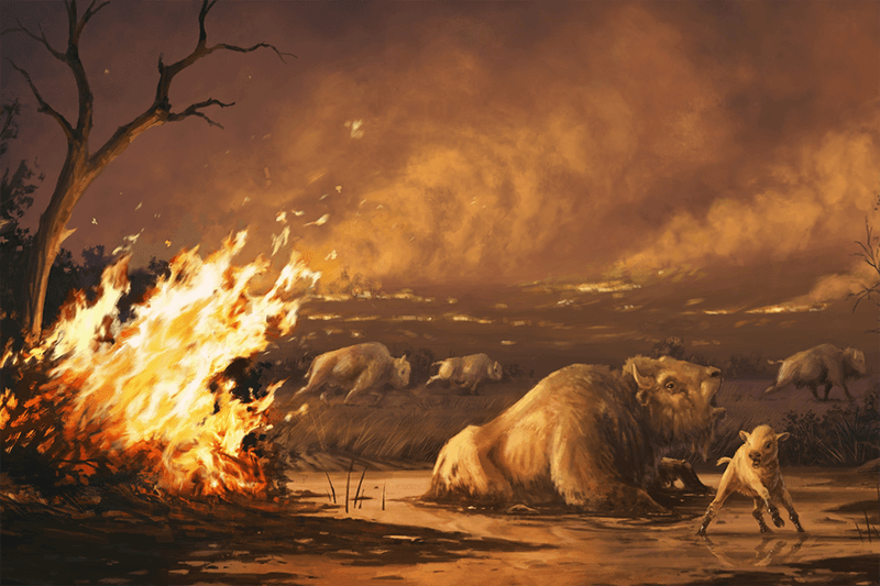 Climate Change And Its Role In The Extinction Of The Dire Wolf