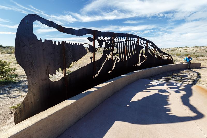 Texas As A Rich Paleontological Hotspot For Fossil Discoveries
