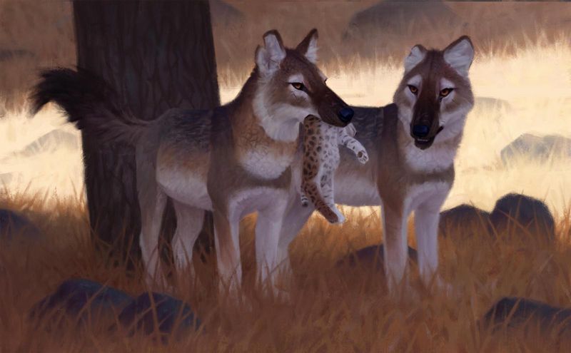 Dire Wolves And Their Interaction With Other Megafauna