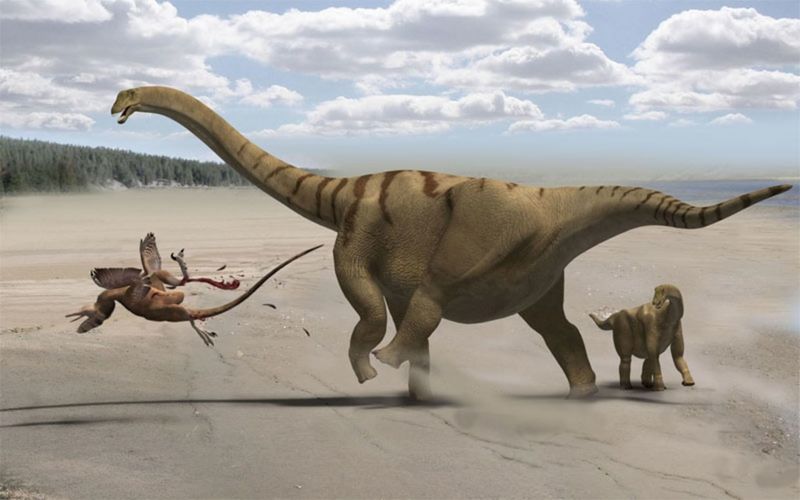 From Small To Giant: How Early Dinosaurs Began To Grow