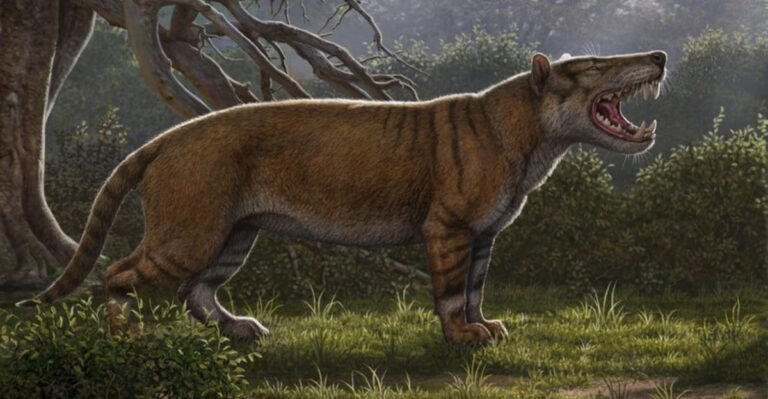 The Extinct Hyaenodon Is A Fearsome Predator From Prehistoric Times